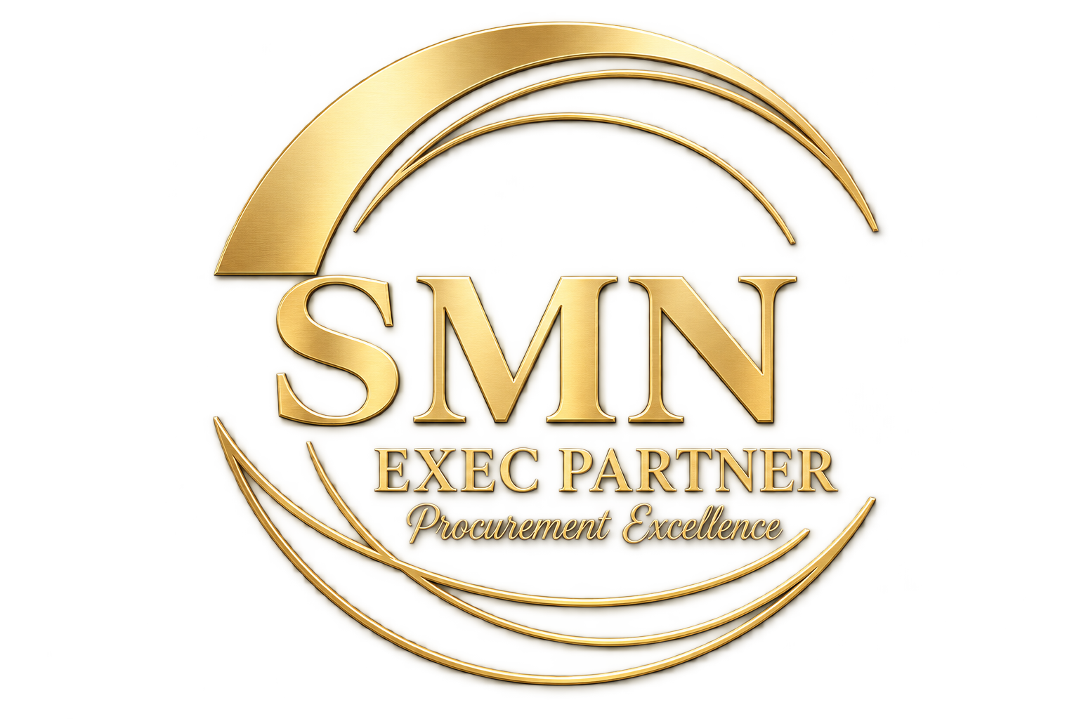 Logo SMN EXEC PARTNER